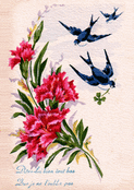 Un coucou fleuri avec des hirondelles